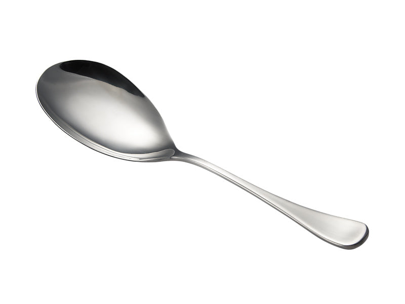 Cosmopolitan Rice Spoon