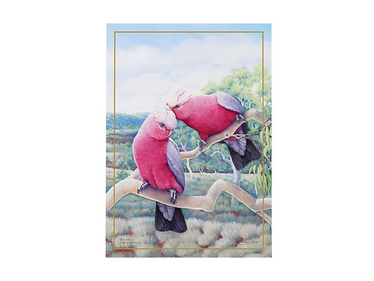 Birds of Australia KC 10yr Anniversary Tea Towel 50x70cm Galah