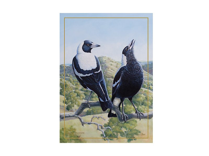 Birds of Australia KC 10yr Anniversary Tea Towel 50x70cm Magpie