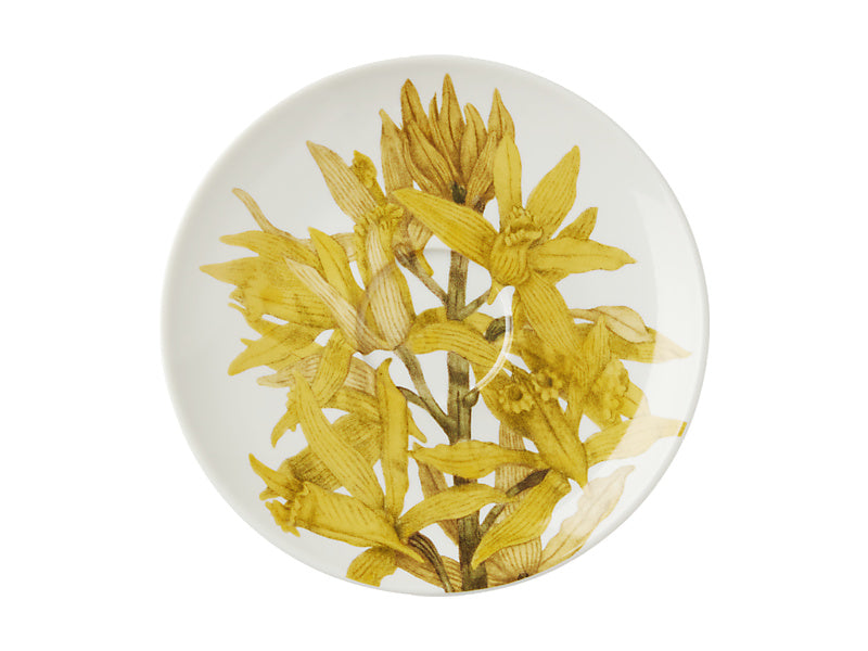 Royal Botanic Gardens Australian Orchids Cup & Saucer Gift Boxed