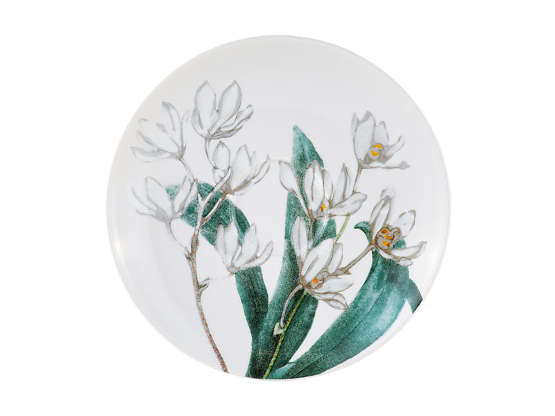 Royal Botanic Gardens Australian Orchids Cup & Saucer Gift Boxed