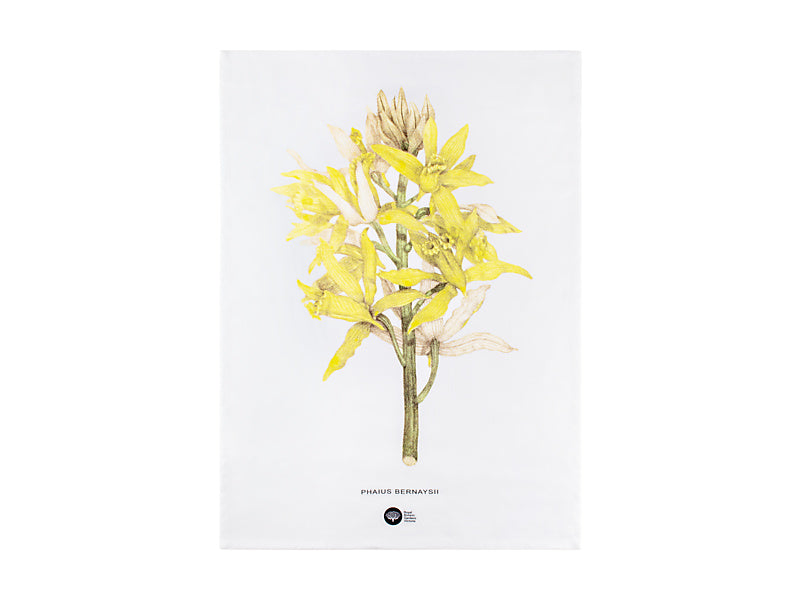 Royal Botanic Gardens Australian Orchids Tea Towel
