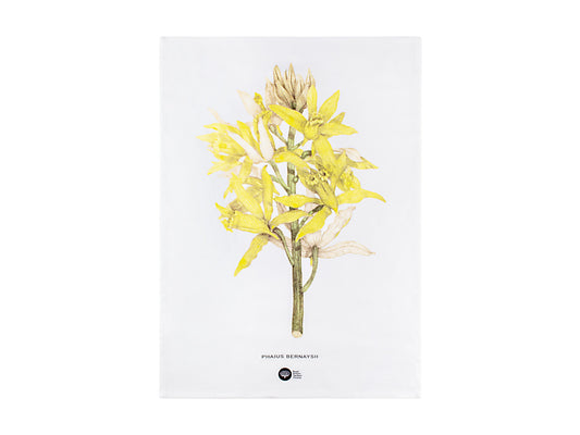 Royal Botanic Gardens Australian Orchids Tea Towel