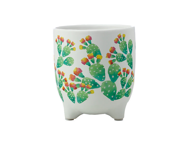 Royal Botanic Gardens Arid Garden Planter Pot 14cm Prickly Pear