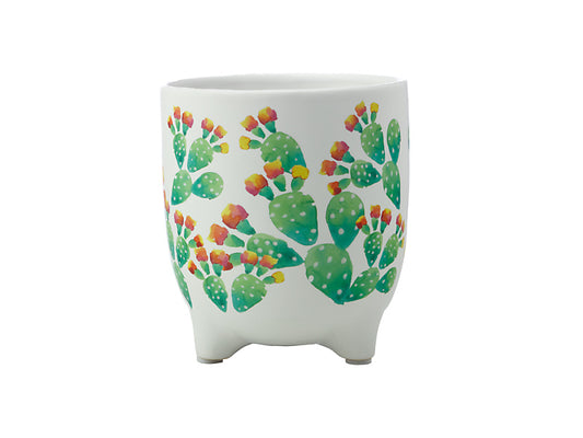 Royal Botanic Gardens Arid Garden Planter Pot 14cm Prickly Pear