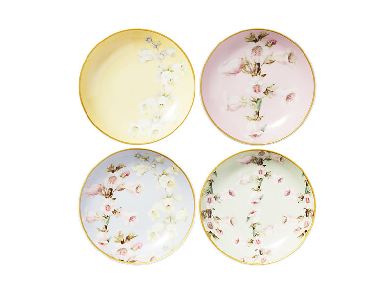 Royal Botanic Gardens Foxglove Dish Set of 4 Assorted Gift Boxed
