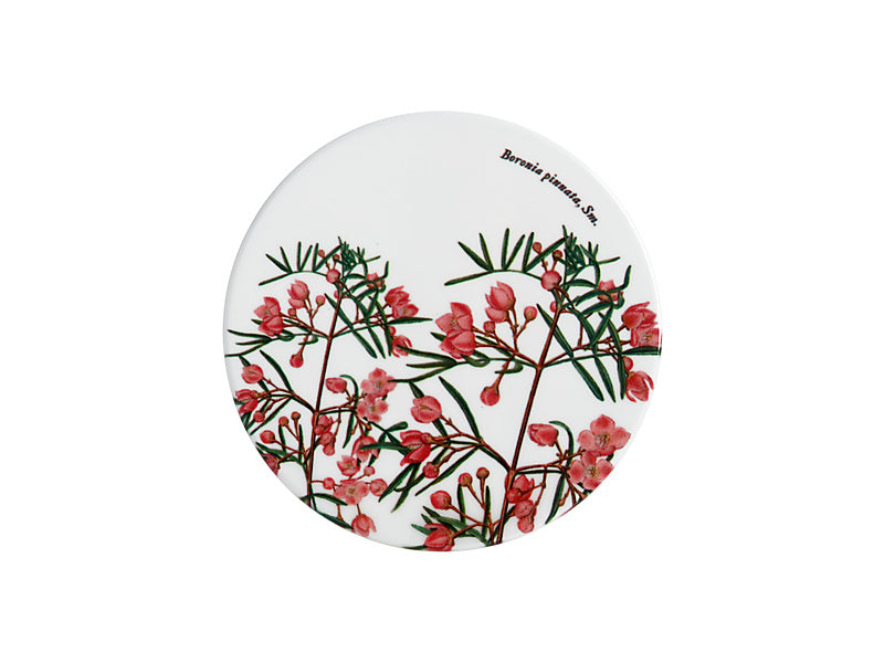 Royal Botanic Gardens Australian Botanics Ceramic Round Coaster 9.5cm Boronia