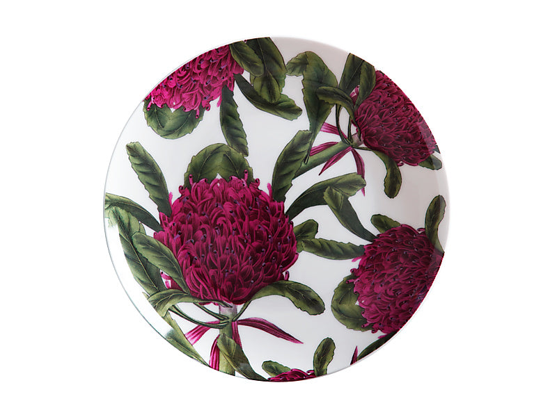 Royal Botanic Gardens Australian Botanics Plate 20cm Telopea Gift Boxed