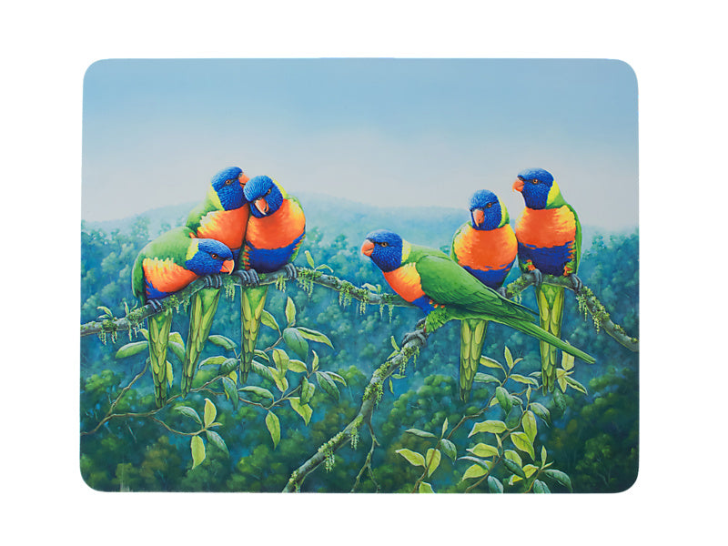 Birds of Australia KC 10yr Anniversary Cork Back Placemat 34x26.5cm Set of 4 Assorted Gift Boxed