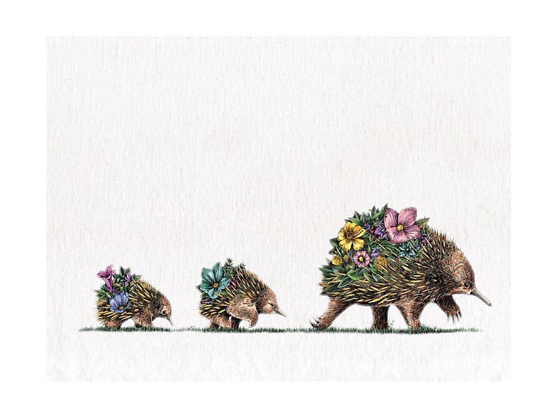 Marini Ferlazzo Australian Families Tea Towel 50x70cm Echidna