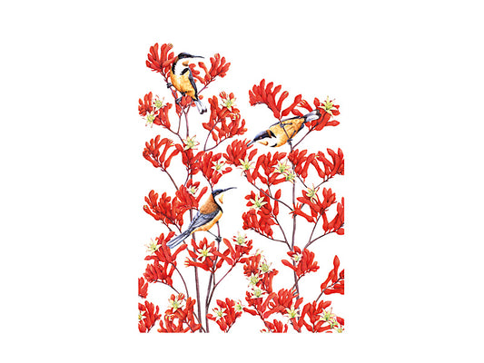 Royal Botanic Gardens - Garden Friends Tea Towel 50x70cm Spinebill