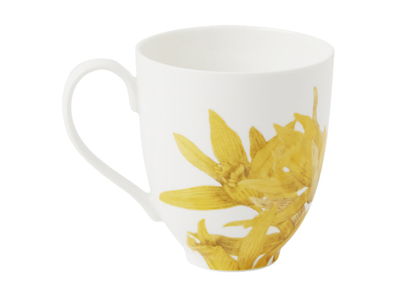 Royal Botanic Gardens Australian Orchids Mug Gift Boxed