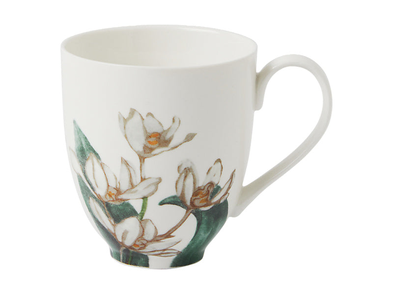 Royal Botanic Gardens Australian Orchids Mug Gift Boxed