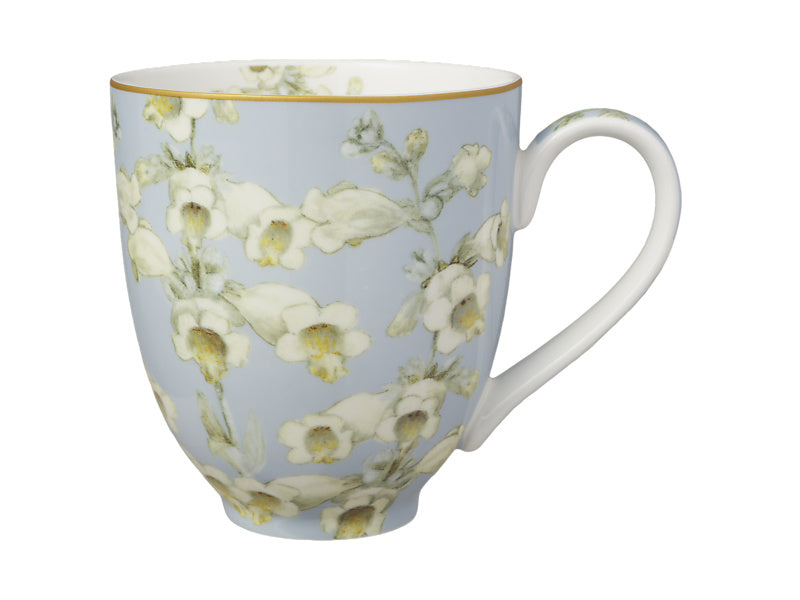 Royal Botanic Gardens Foxglove Coupe Mug Set of 4 Assorted Gift Boxed