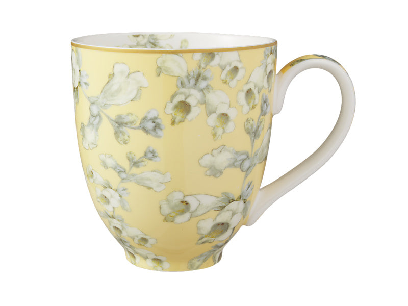 Royal Botanic Gardens Foxglove Coupe Mug Set of 4 Assorted Gift Boxed