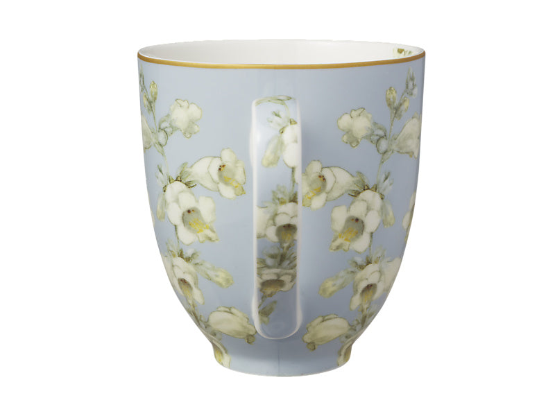Royal Botanic Gardens Foxglove Coupe Mug Set of 4 Assorted Gift Boxed