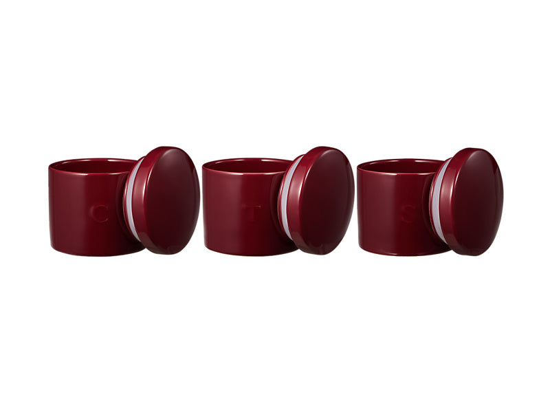 Epicurious Canister Set of 3 Gift Boxed