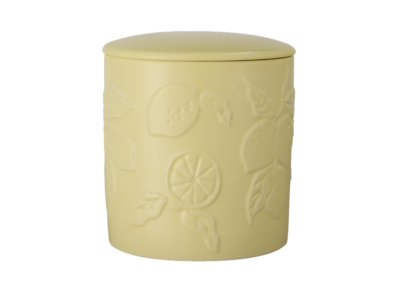 Botanika Fragrance Candle 290g Citrus Limon Gift Boxed