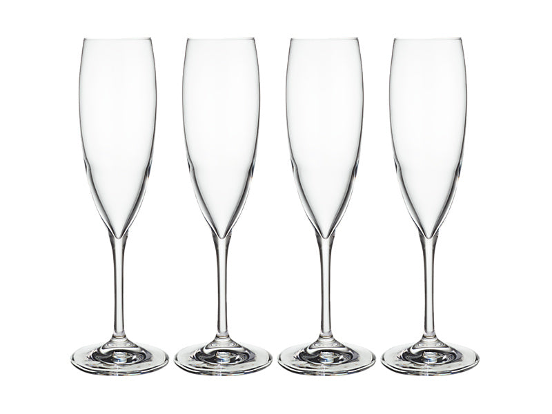 Sofia Champagne Flute Set of 4 Gift Boxed