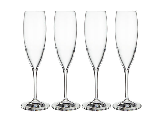 Sofia Champagne Flute Set of 4 Gift Boxed