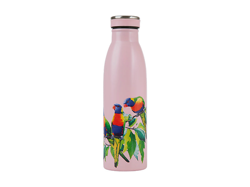 Katherine Castle Bird Talk Double Wall Insulated Bottle 500ML Rainbow Lorikeets