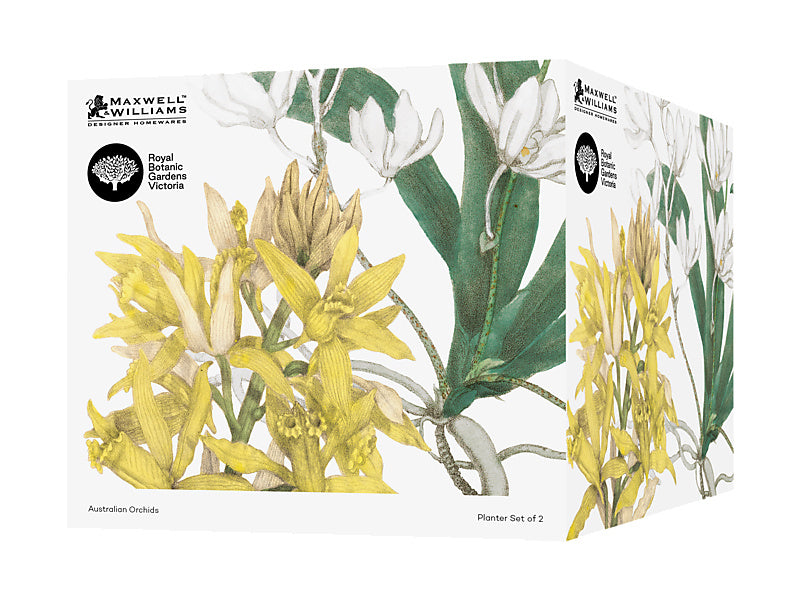 Royal Botanic Gardens Australian Orchids Planter Set of 2 Yell/ White Gift Boxed