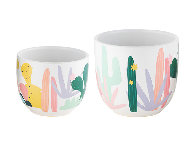 Rach Jackson Sunset Planter Set of 2 Cactus Gift Boxed