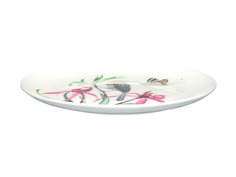 Eloise Short Lyric Coupe Plate Spinebill Honeyeater Gift Boxed