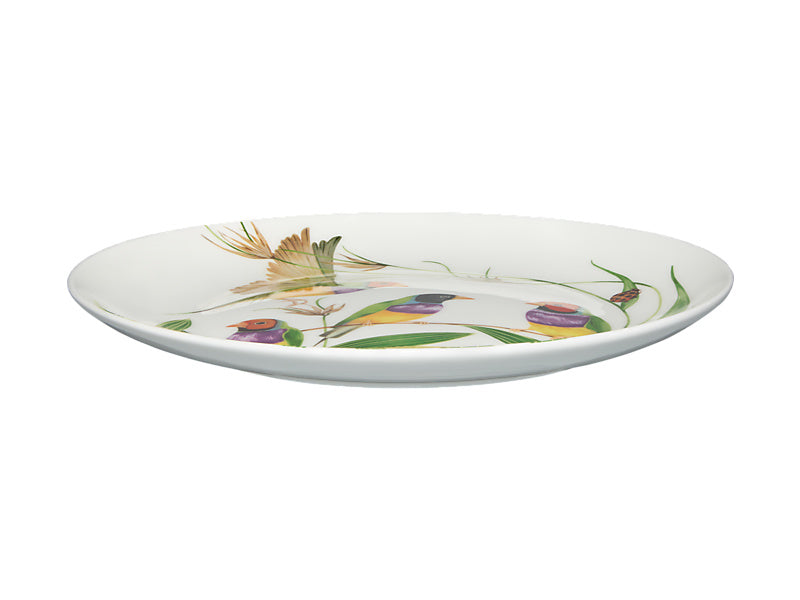 Eloise Short Lyric Coupe Plate Gouldian Finch Gift Boxed